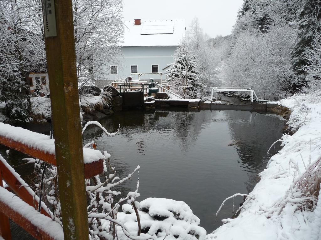 Hotel Gaestepension Edeltraud Hirschegg  Exterior foto